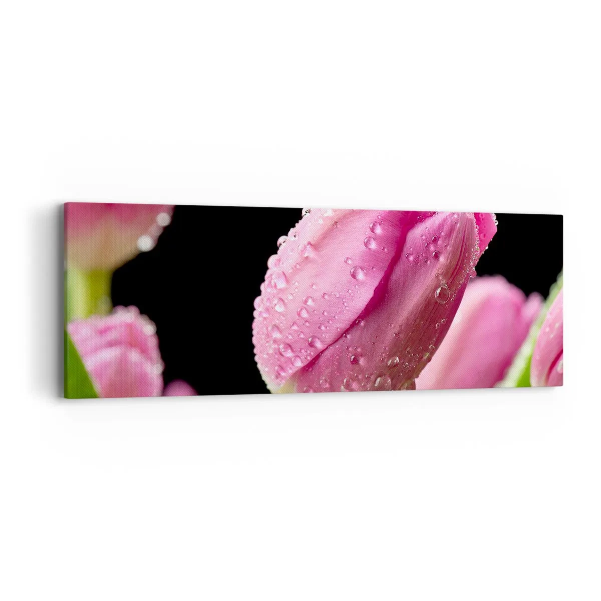 Obraz na plátně - Liliový sen v rose - 90x30 cm