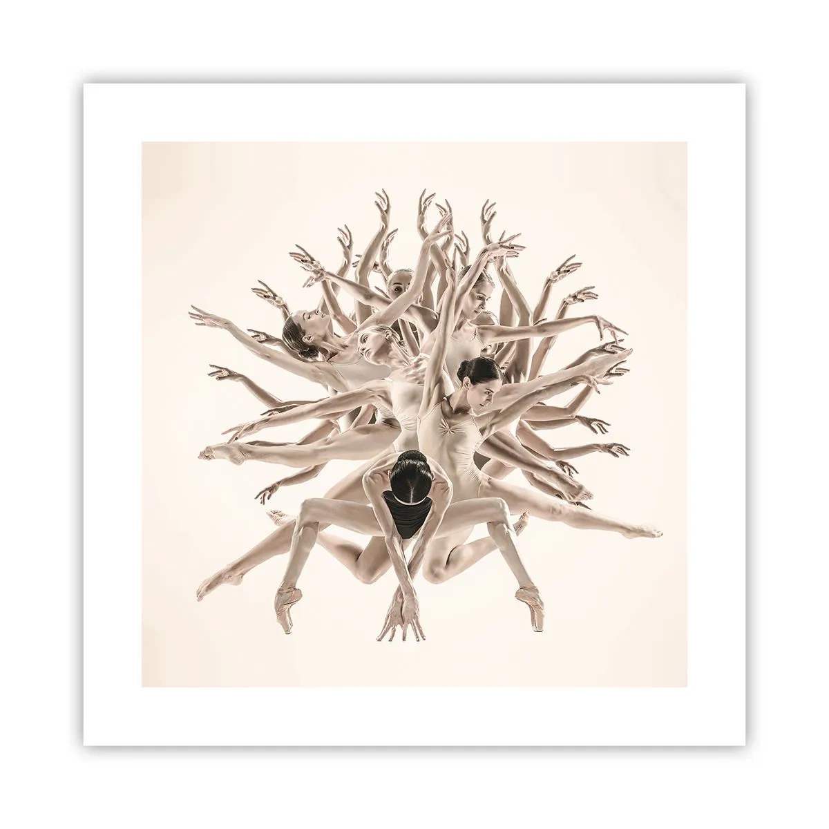 Plakát - Rozkvět v tanci - 40x40 cm