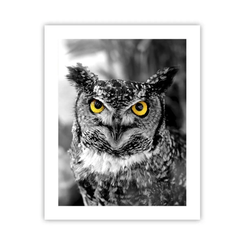 Plakát - Nic se neschová - 40x50 cm