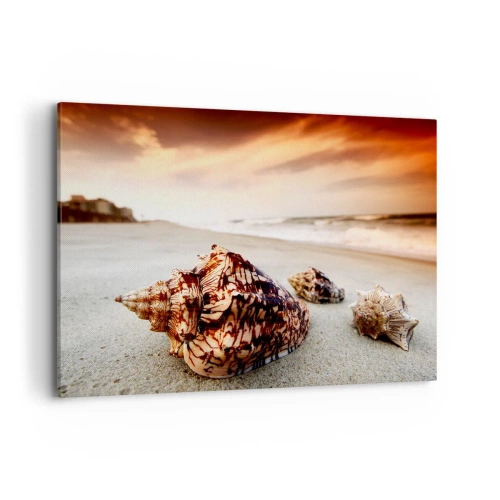 Obraz na plátně - Vyvrženci vln - 100x70 cm