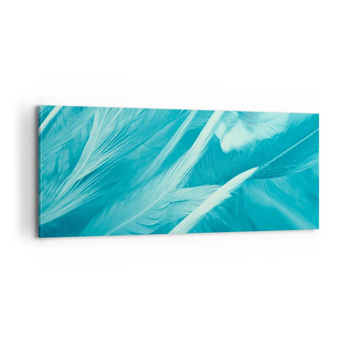 Obraz na plátně - Utonout v chmýří - 100x40 cm