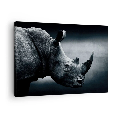Obraz na plátně - Černobílý portrét nosorožce na tmavém pozadí - 70x50cm - Pravý profil - Moderní nástěnná dekorace do obývacího pokoje a ložnice ARTTOR