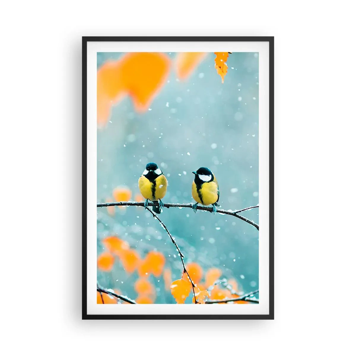 Plakát v černém rámu - Ptačí drby - 61x91 cm