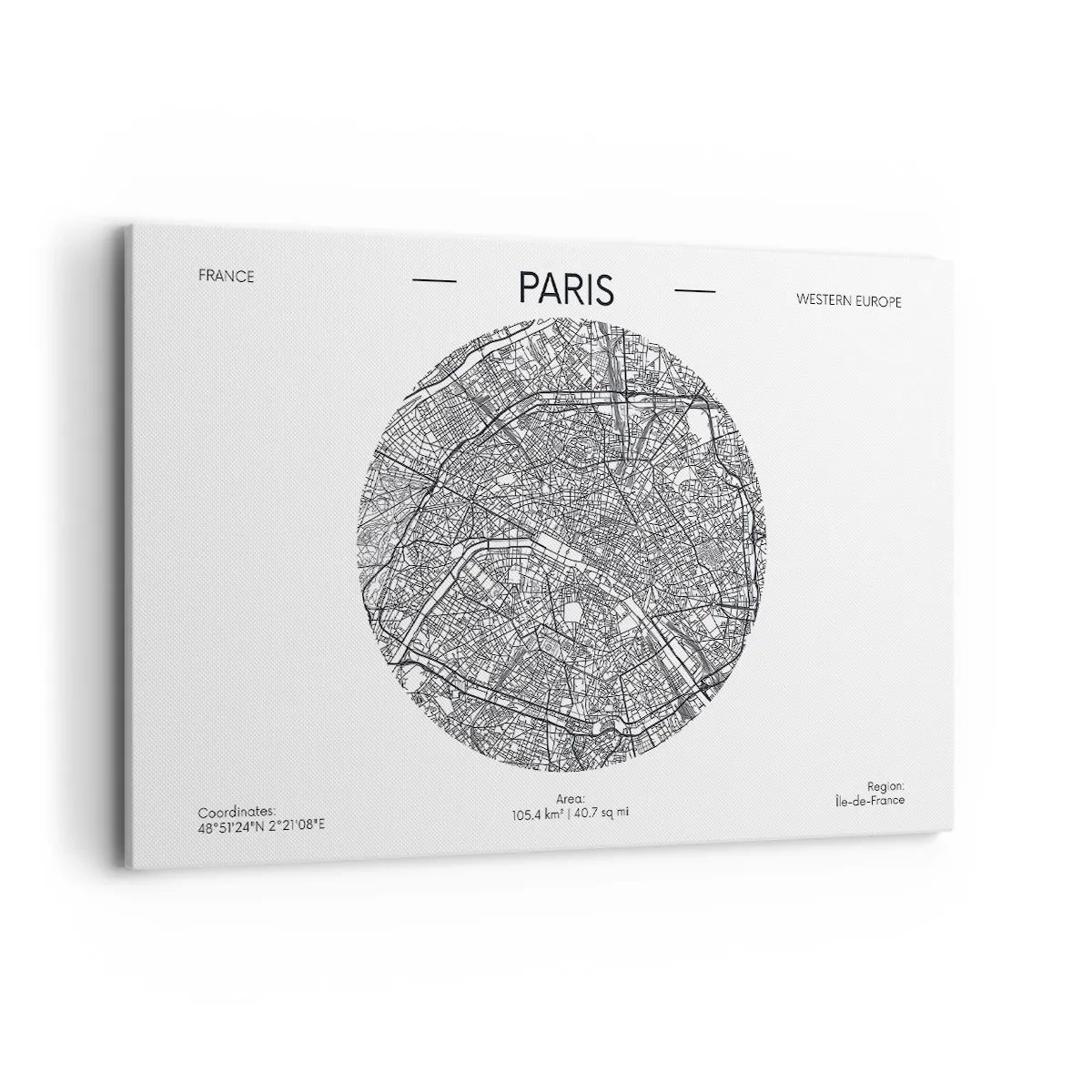 Obraz na plátně - Anatomie Paříže - 120x80 cm