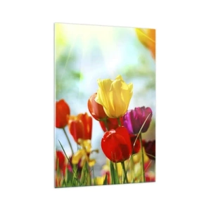 Obraz na skle - Všechny barvy slunce - 70x100 cm
