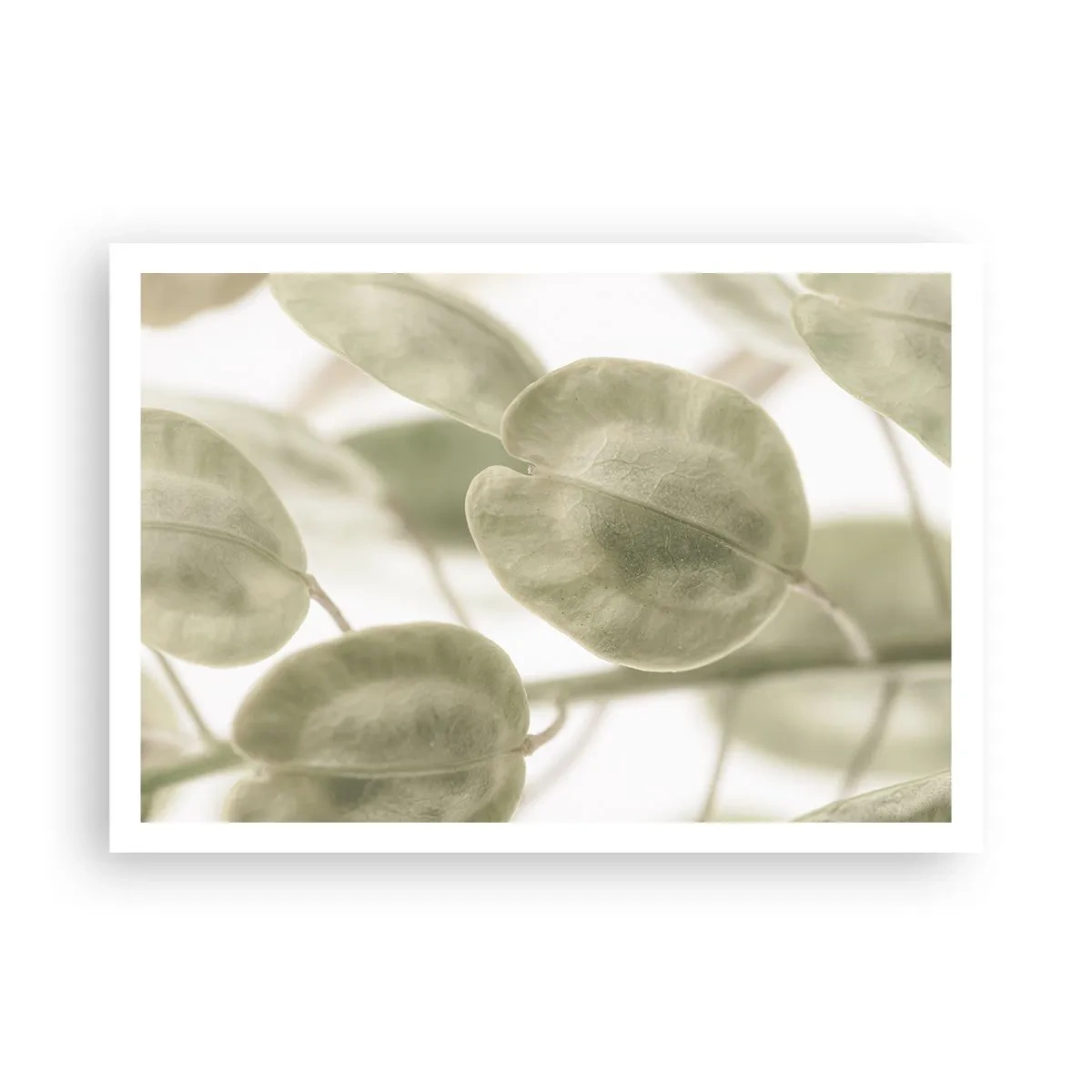 Plakát - Na začátku bylo listí… - 100x70 cm