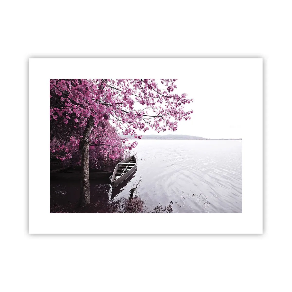 Plakát - V růžovém tichu - 40x30 cm