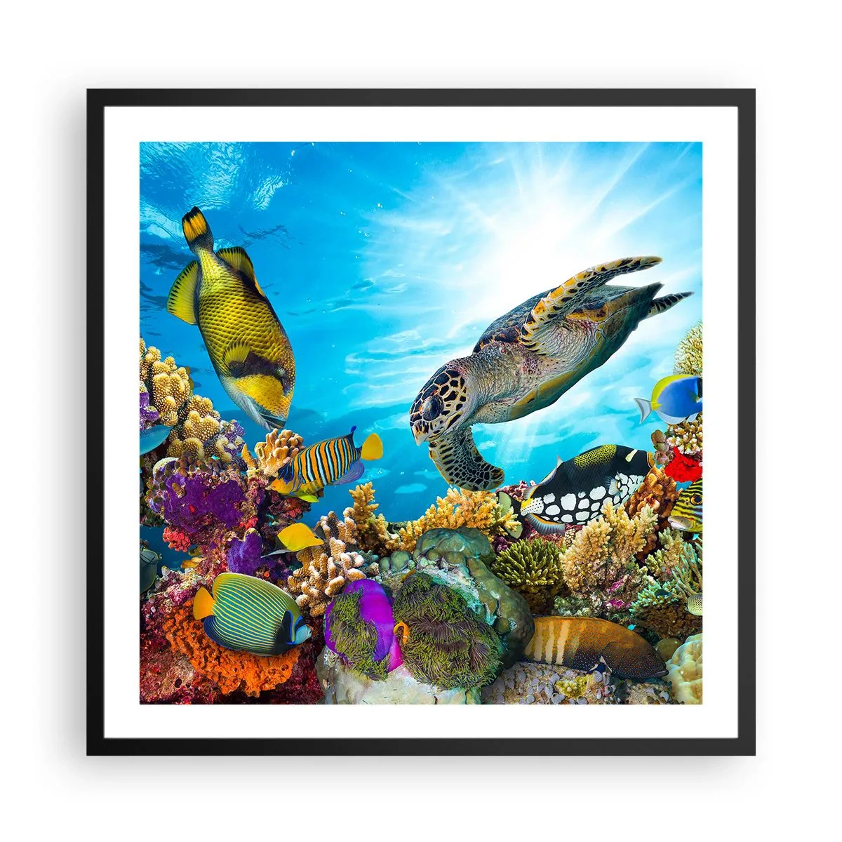 Plakát v černém rámu - Korálová promenáda - 60x60 cm