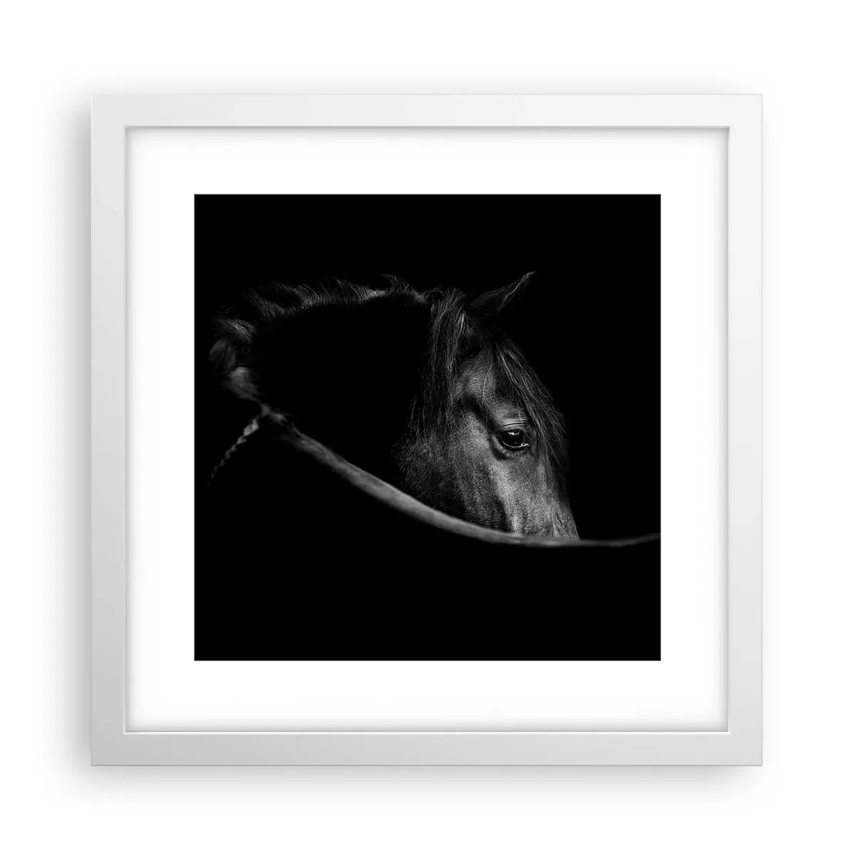 Plakát v bílém rámu - Černý kníže - 30x30 cm