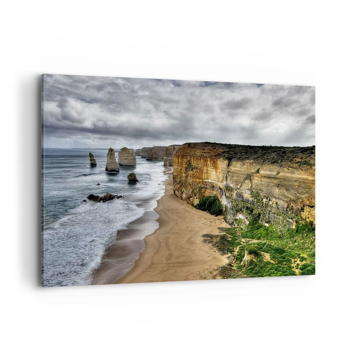 Obraz na plátně - Drsná krása - 100x70 cm