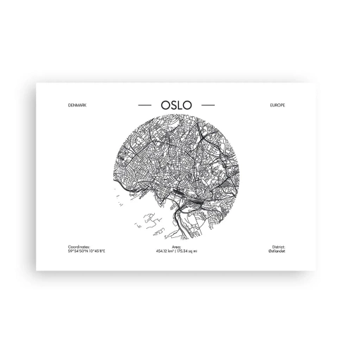 Plakát - Anatomie Osla - 91x61 cm