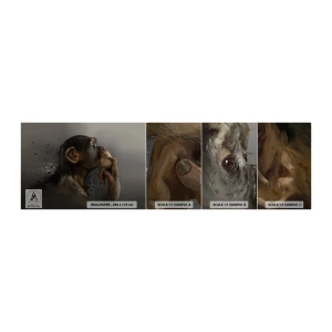 Vzor Fototapety Premium Canvas - Určitě myslitel - Zvířata, Opice, Kus - 100x30 cm