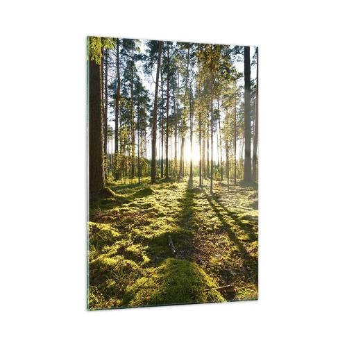 Obraz na skle - …Za sedmero lesy - 50x70 cm