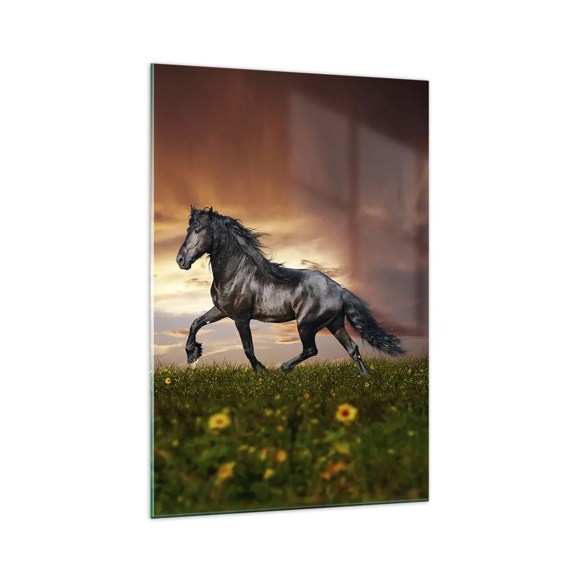 Obraz na skle - Černý kníže - 70x100 cm