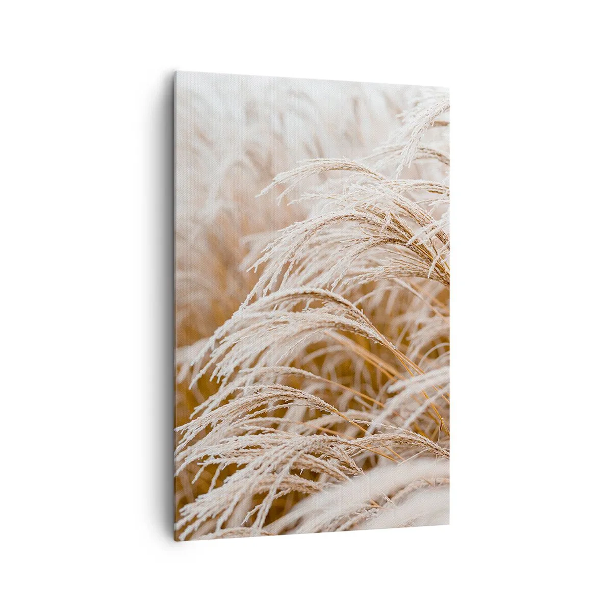 Obraz na plátně - Klanění podzimnímu slunci - 80x120 cm