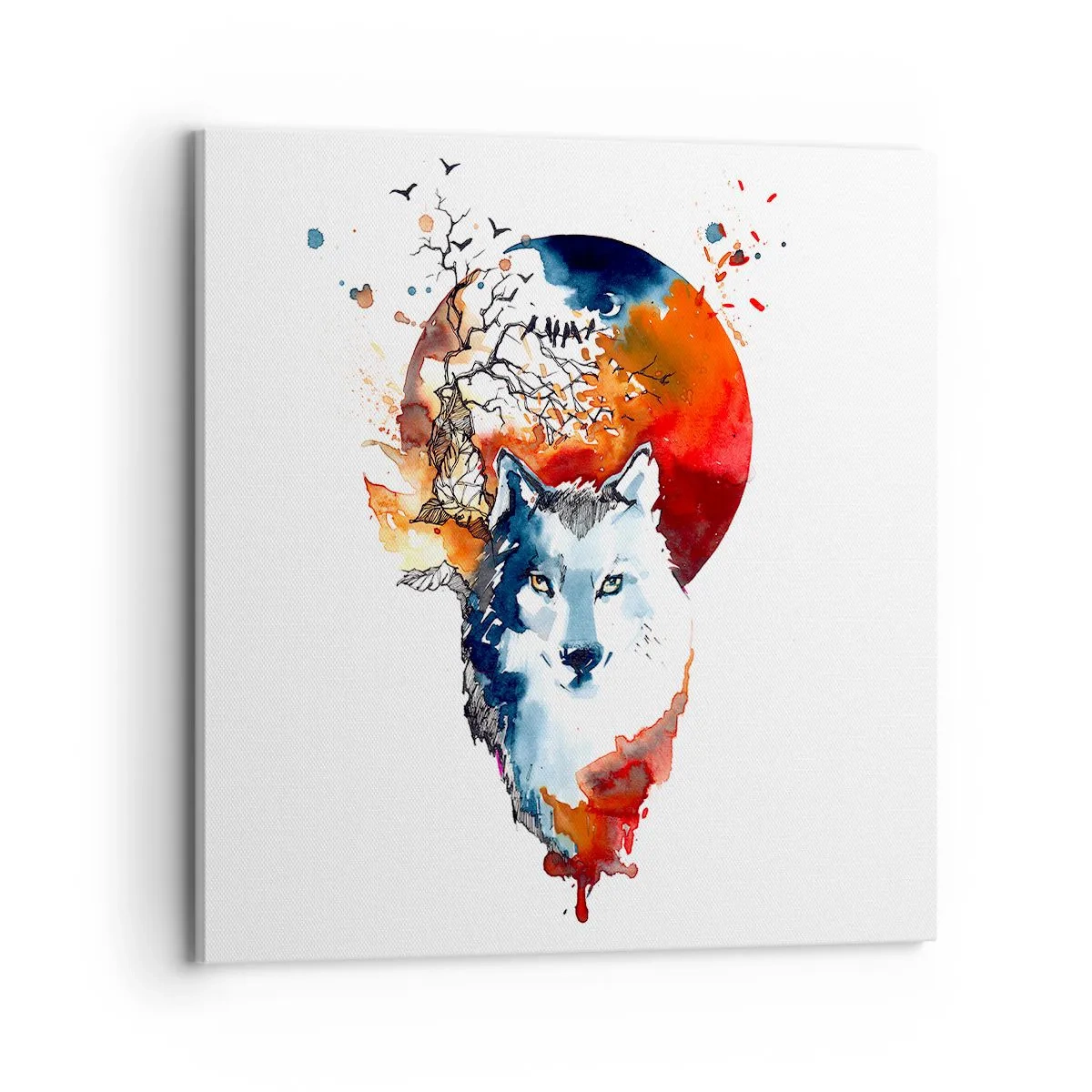 Obraz na plátně - Nosem na skle - 70x70 cm