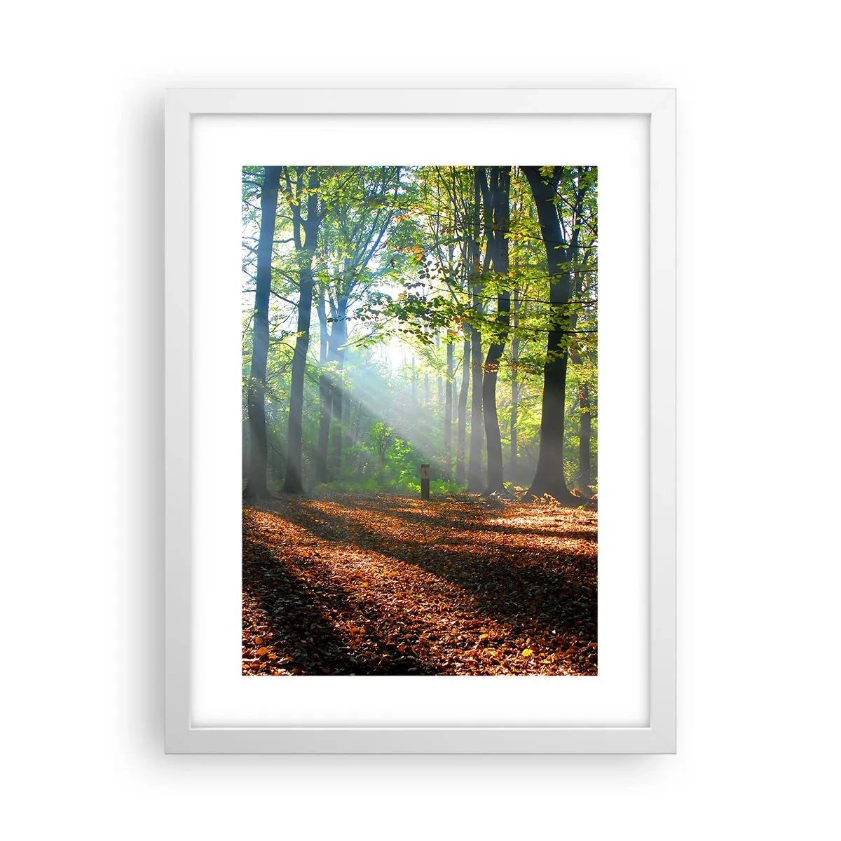 Plakát v bílém rámu - Světla a stíny - 30x40 cm