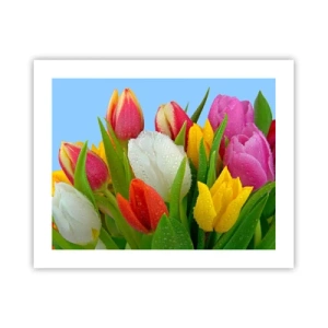 Plakát - Květinová duha v kapkách rosy - 50x40 cm