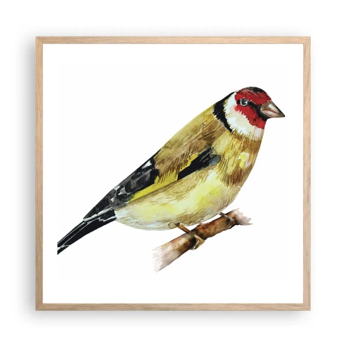 Plakát v rámu světlý dub - Ptáčí portrét - 60x60 cm