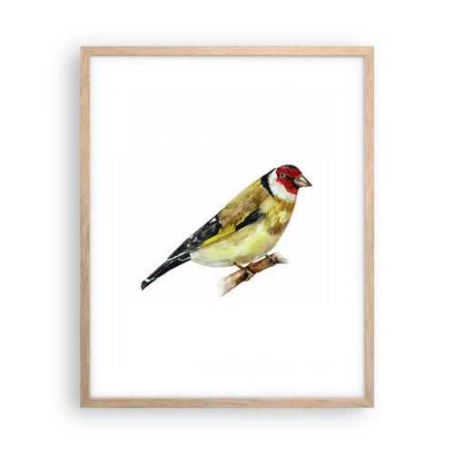 Plakát v rámu světlý dub - Ptáčí portrét - 40x50 cm