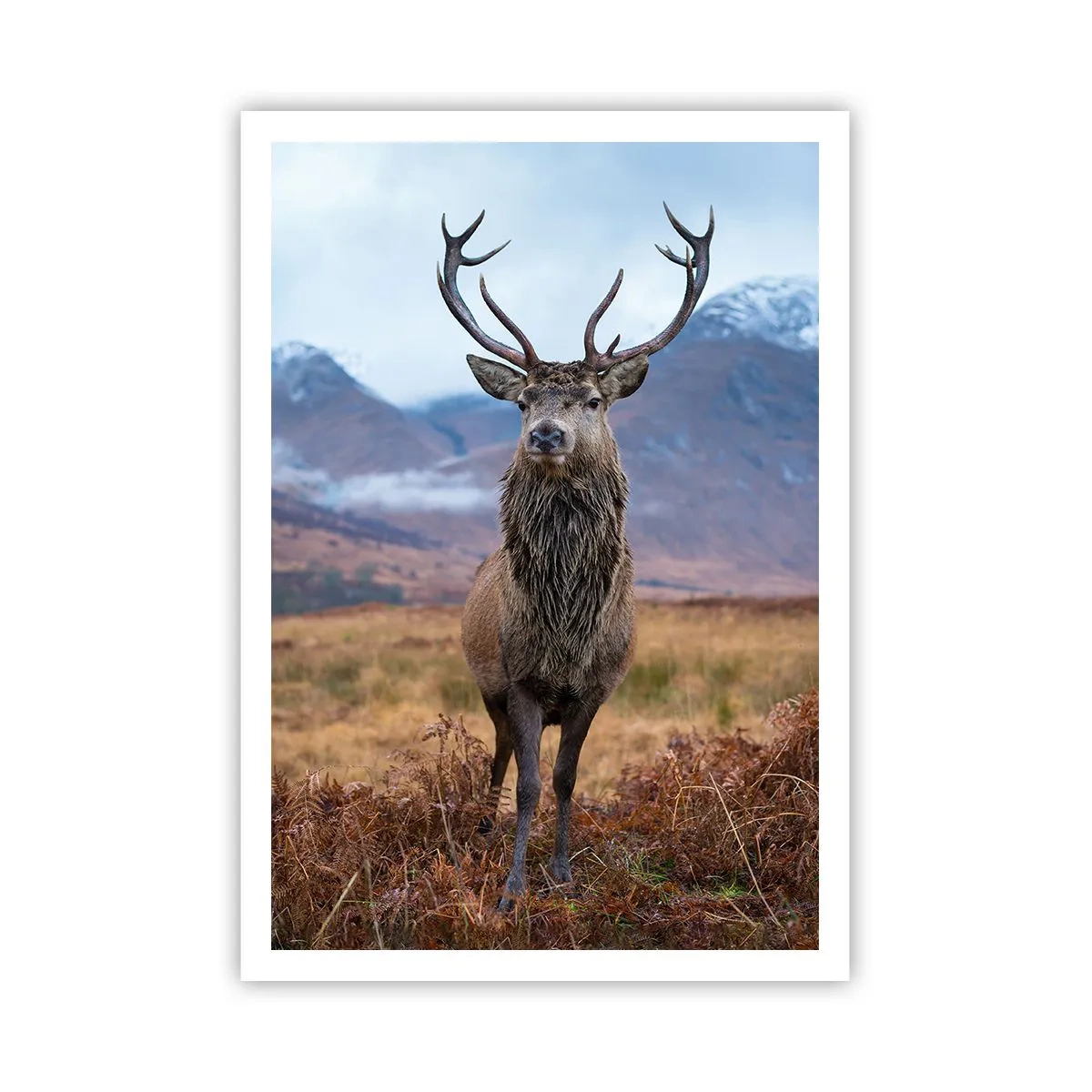 Plakát - Na vlastní půdě - 70x100 cm