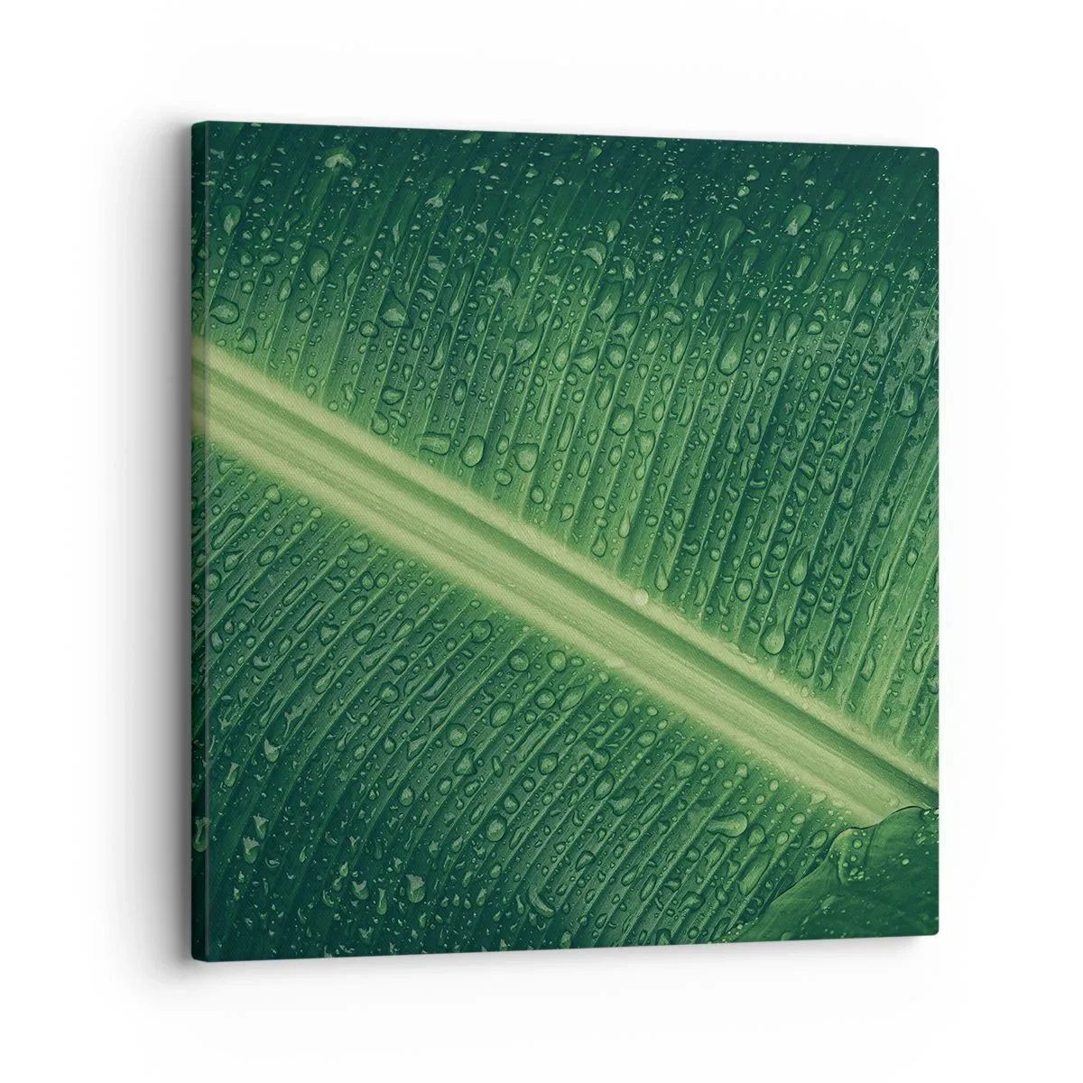 Obraz na plátně - Struktura zelené - 30x30 cm