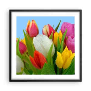 Plakát v černém rámu - Květinová duha v kapkách rosy - 50x50 cm