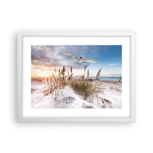 Plakát v bílém rámu - Vítr od moře - 40x30 cm