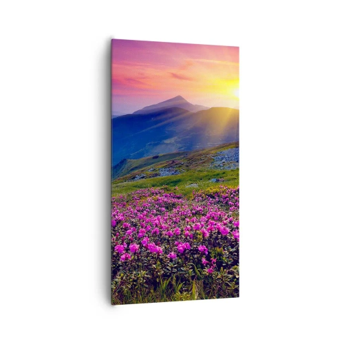 Obraz na plátně - …A kolem voní kosodřevina a voní byliny - 65x120 cm