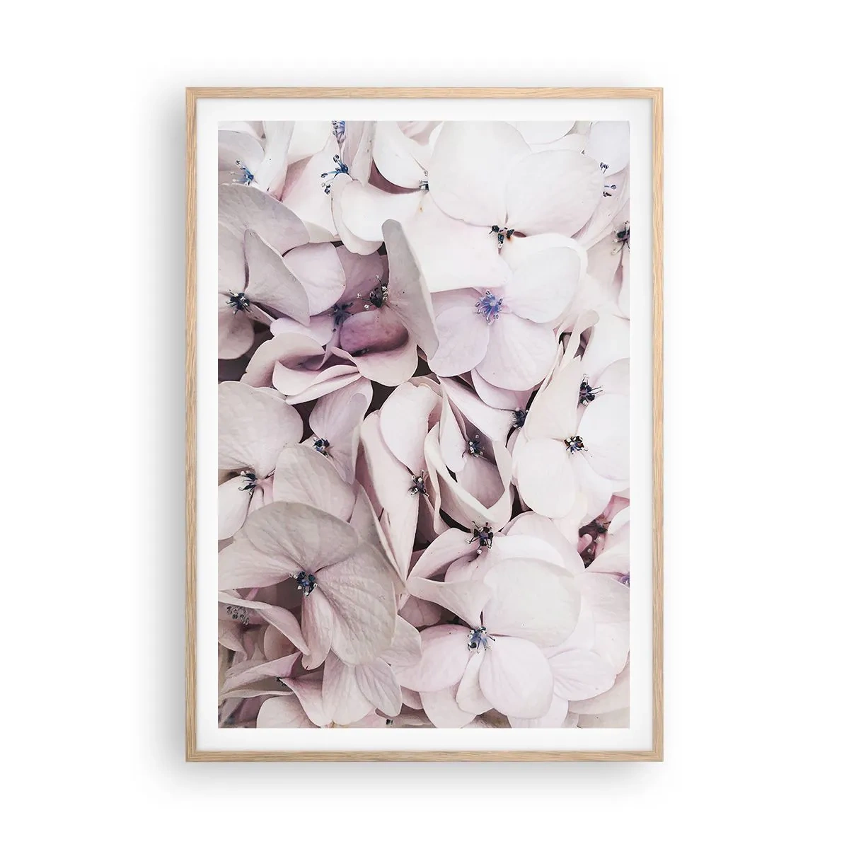 Plakát v rámu světlý dub - V záplavě květin - 70x100 cm