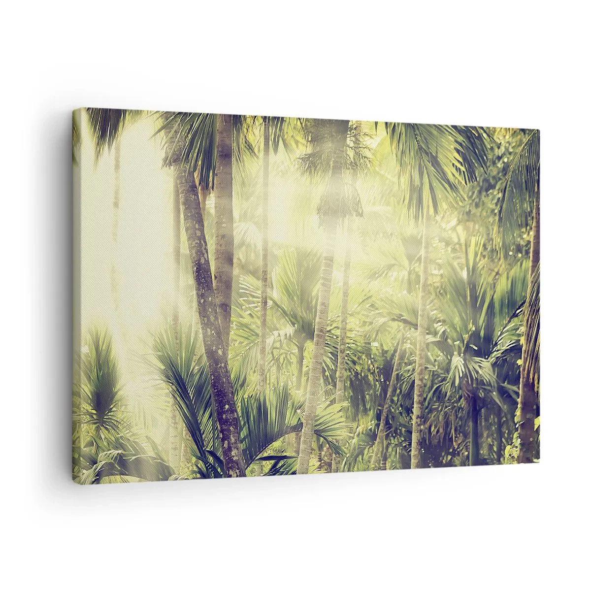 Obraz na plátně - Sluneční paprsky v tropickém palmovém lese - 70x50cm - V zeleném žáru - Moderní nástěnná dekorace do obývacího pokoje a ložnice ARTTOR