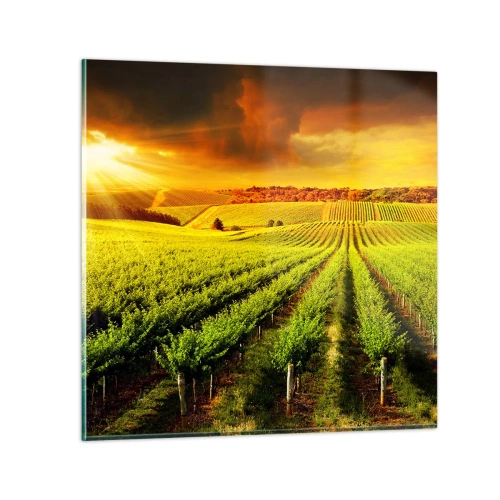 Obraz na skle - Pod australským sluncem - 60x60 cm