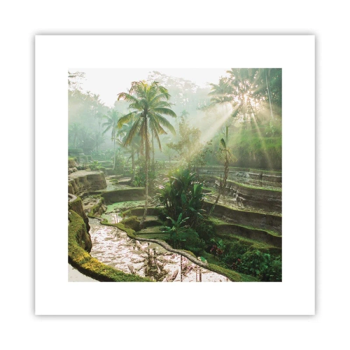 Plakát - Vyrůstát na slunci - 30x30 cm