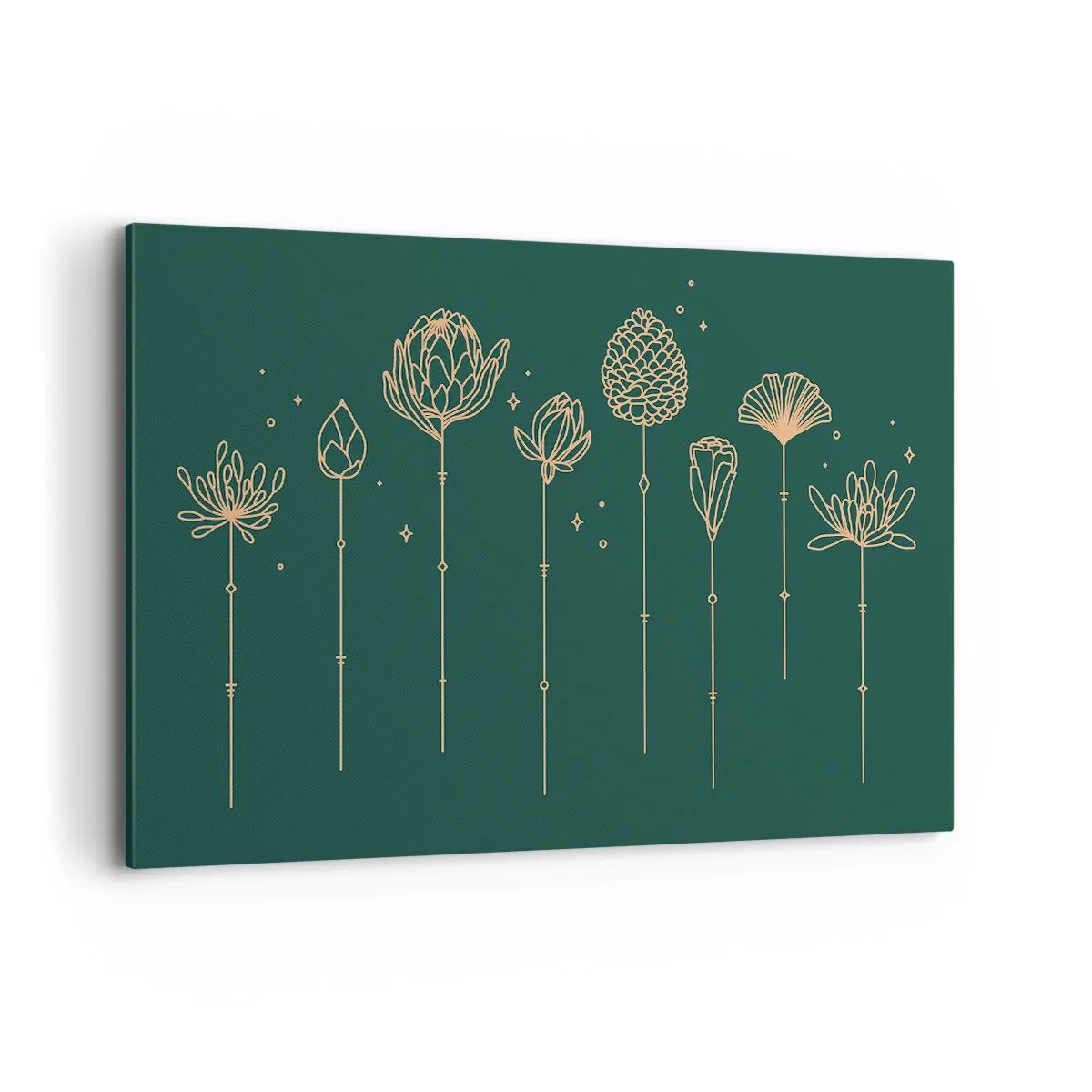 Obraz na plátně - Bylinky - 120x80 cm