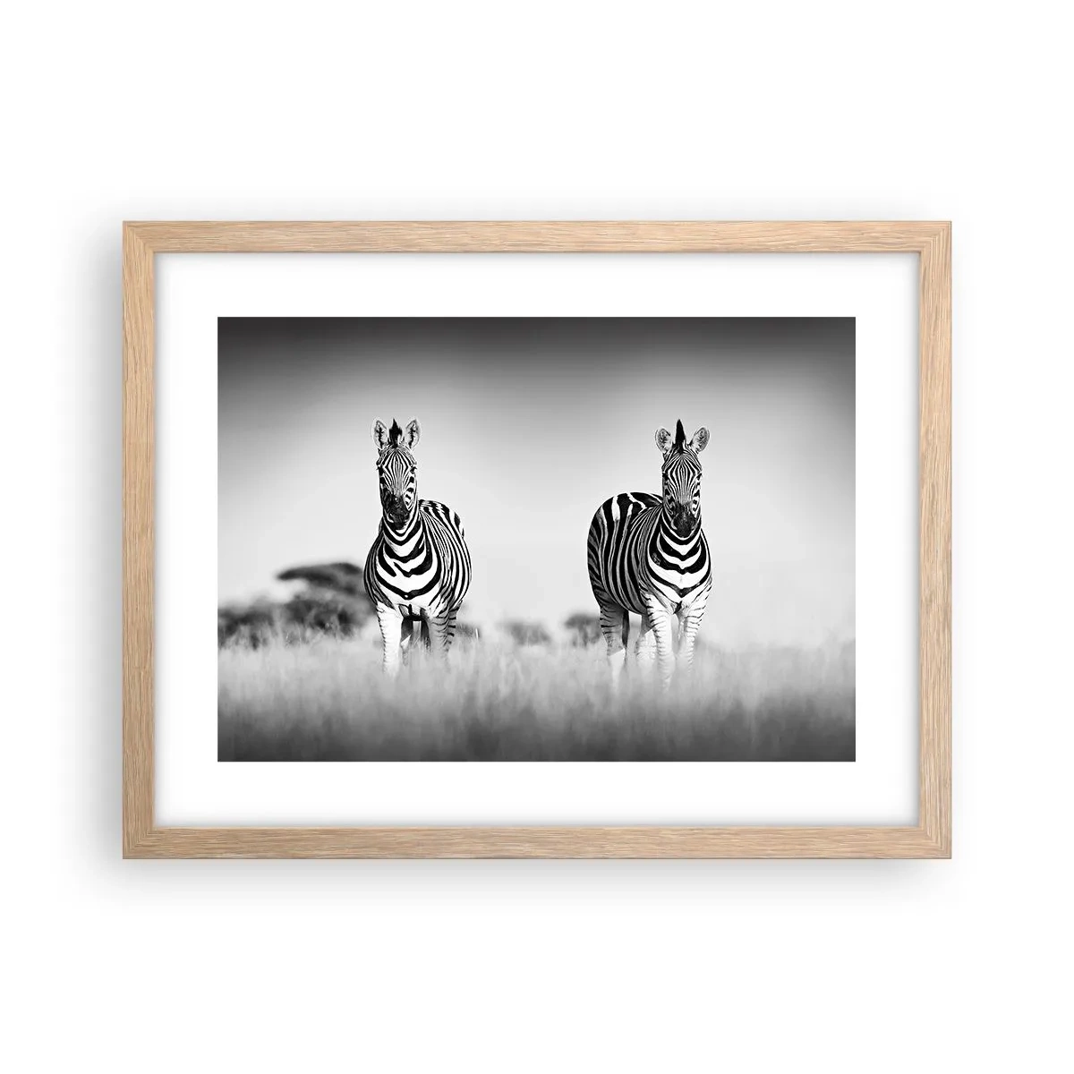 Plakát v rámu světlý dub - A přesto je svět černo-bílý - 40x30 cm