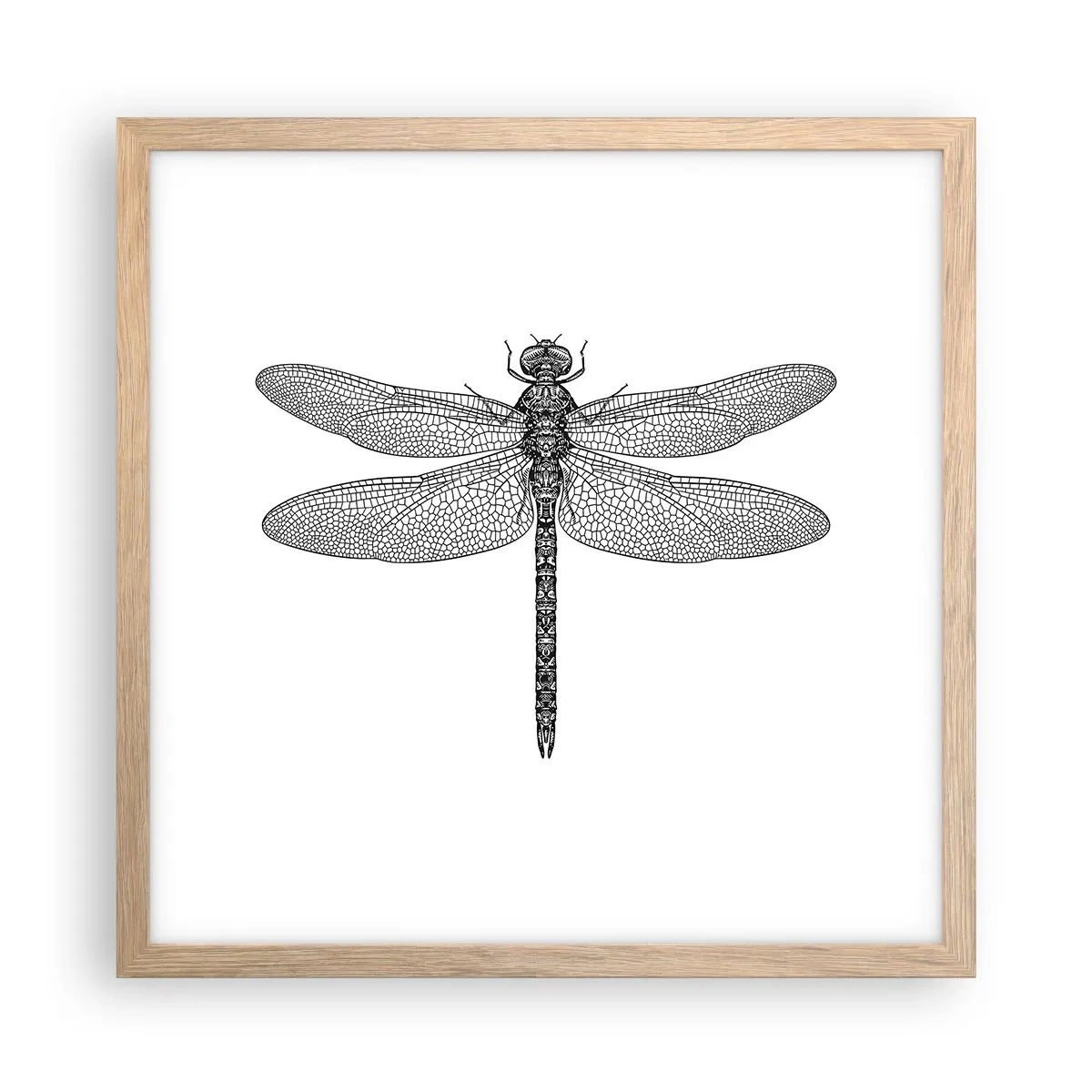 Plakát v rámu světlý dub - Přesnost přírody - 40x40 cm