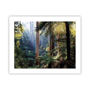 Plakát - Povídka lesa - 50x40 cm