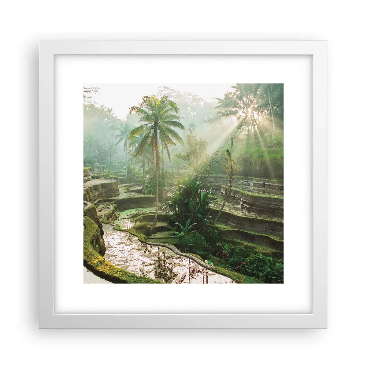 Plakát v bílém rámu - Vyrůstát na slunci - 30x30 cm