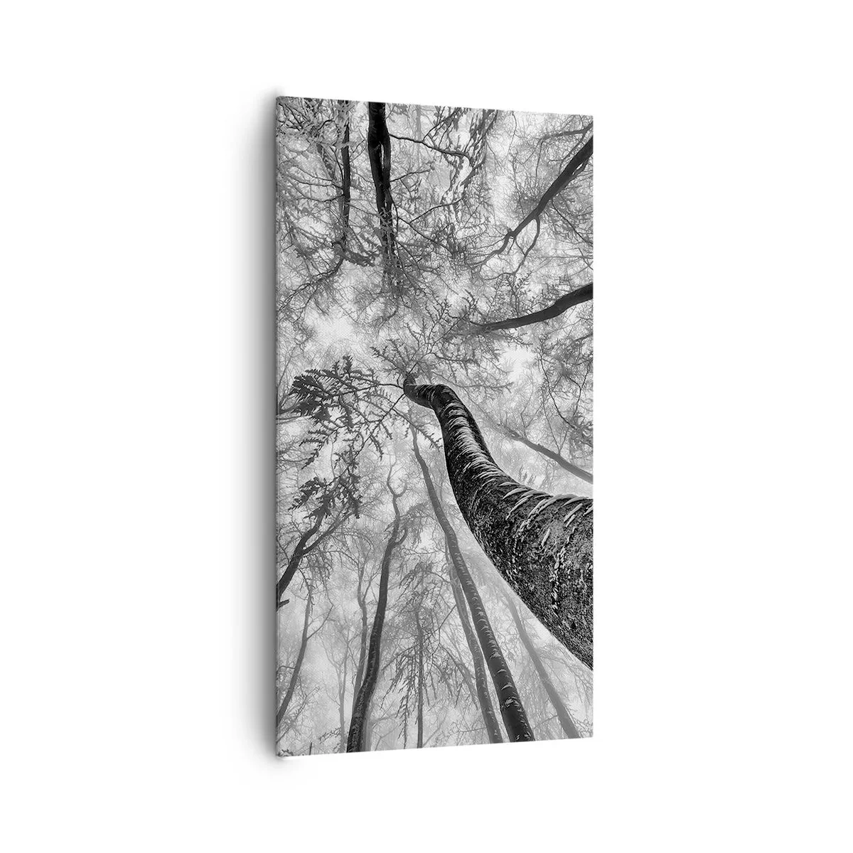 Obraz na plátně - Závod ke světlu - 65x120 cm