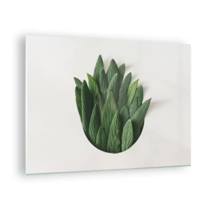 Obraz na skle - Zelené listy uspořádané ve tvaru vázy na bílém pozadí - 70x50cm - Neukojitelná zvědavost - Moderní nástěnná dekorace do obývacího pokoje a ložnice ARTTOR