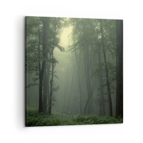 Obraz na plátně - Než se probudí - 60x60 cm