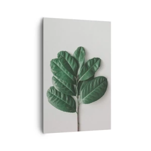 Obraz na plátně - Kresba samotné přírody - 80x120 cm