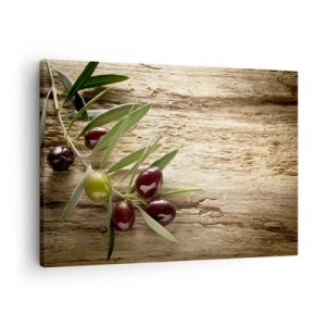 Obraz na plátně - Olivová ratolest s plody na pozadí starého dřeva - 70x50cm - Přímo od přírody - Moderní nástěnná dekorace do obývacího pokoje a ložnice ARTTOR