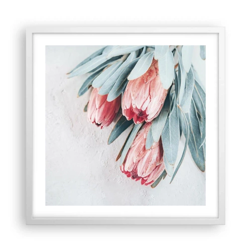 Plakát v bílém rámu - Zahanbené svou vlastní krásou - 50x50 cm