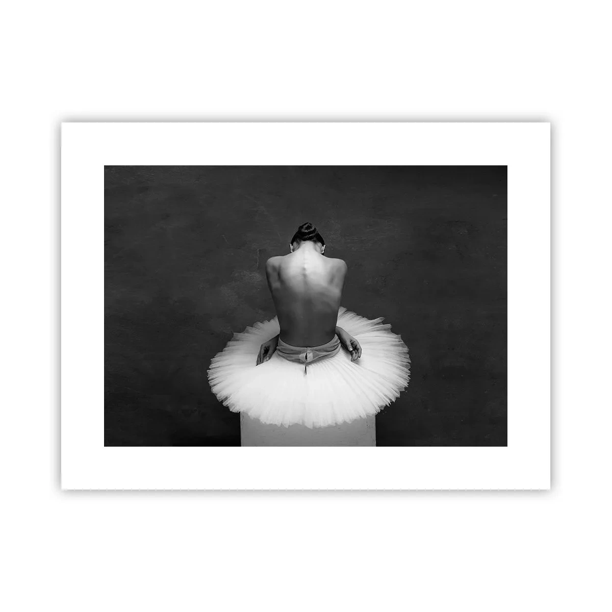 Plakát - Právě kvete - 40x30 cm