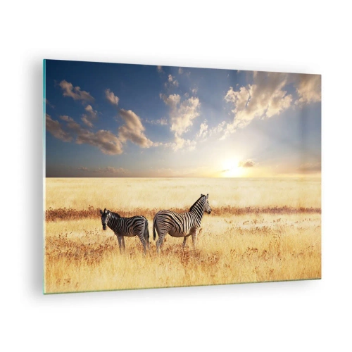 Obraz na skle - Dvě zebry v savaně při západu slunce - 70x50cm - Jdi odsud, neruš klid - Moderní nástěnná dekorace do obývacího pokoje a ložnice ARTTOR