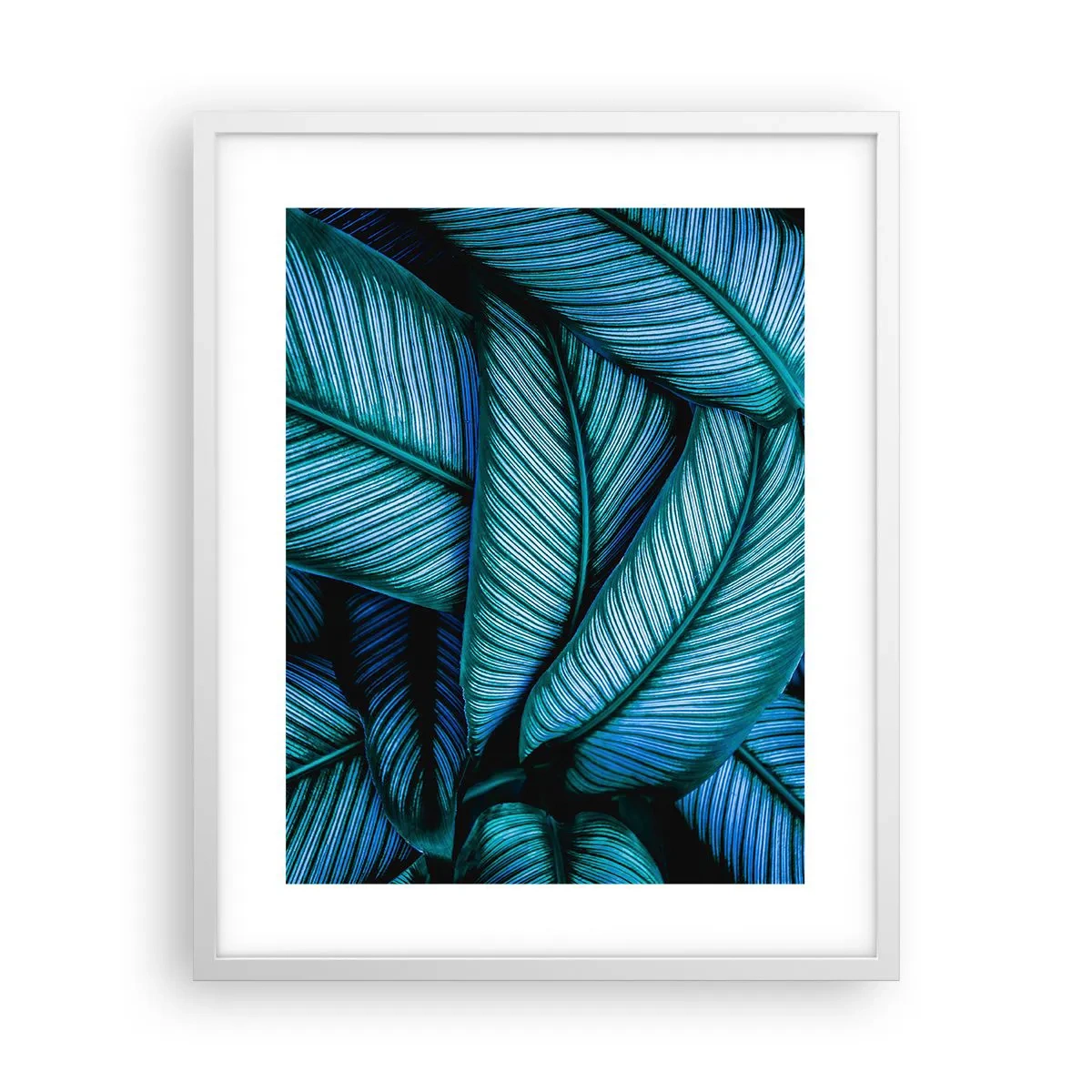 Plakát v bílém rámu - Čáry života - 40x50 cm