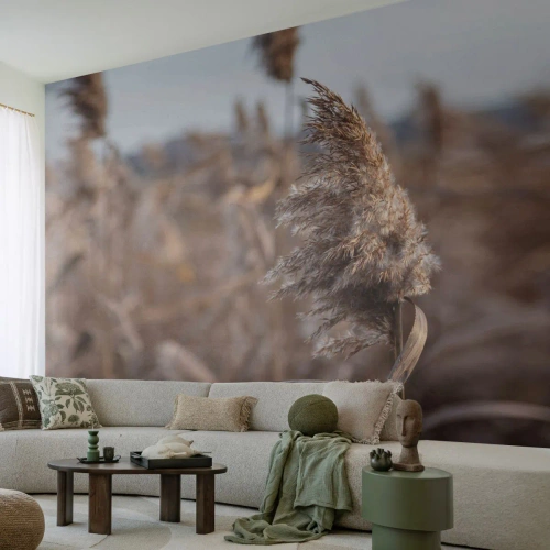 Fototapeta Premium Sand - Čas odletět s větrem - Louka, Pampasová tráva, Příroda - 500x350 cm