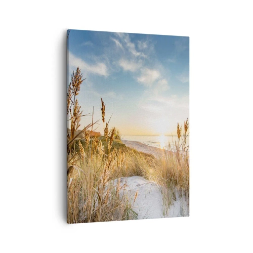 Obraz na plátně - Severní pláž - 50x70 cm