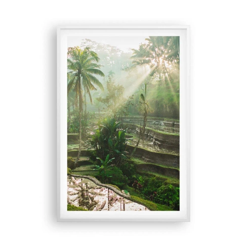 Plakát v bílém rámu - Vyrůstát na slunci - 61x91 cm